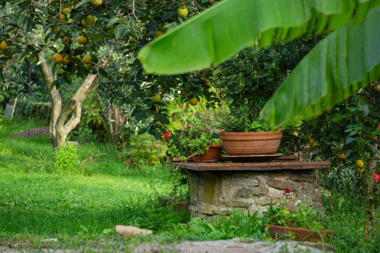 Villa Istrian Stone House With A Big Garden Marezige Exterior foto