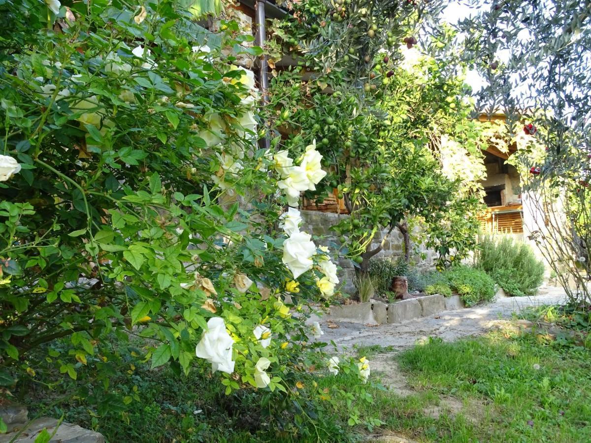 Villa Istrian Stone House With A Big Garden Marezige Exterior foto